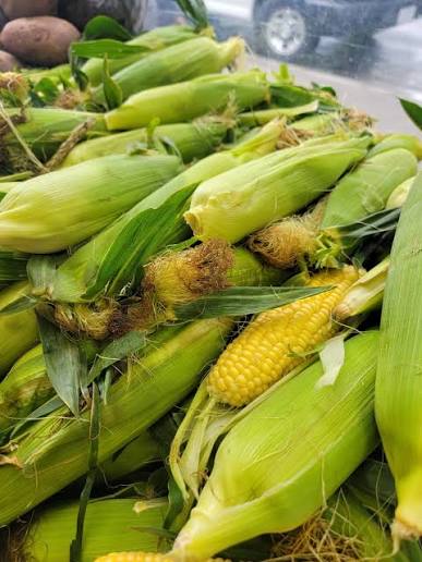 Elotes